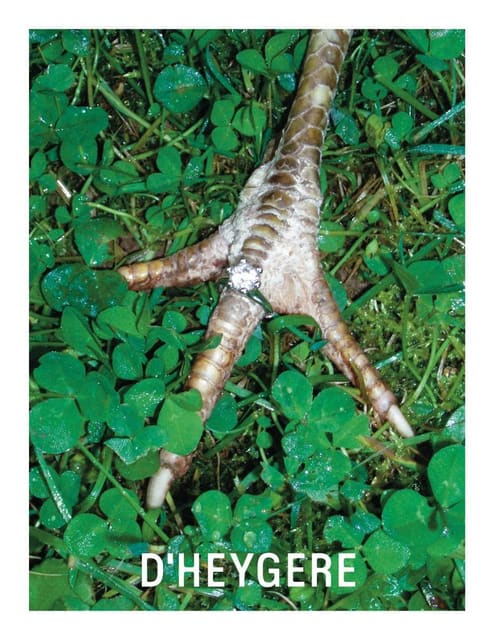 Animal Farm — D'heygere