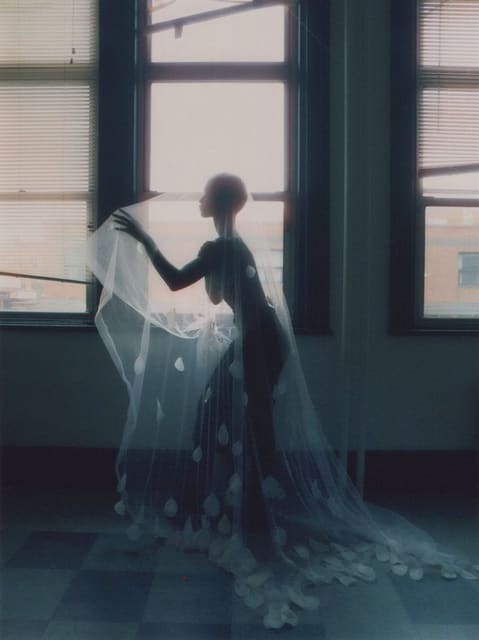 in the Mood — Blanc Magazine