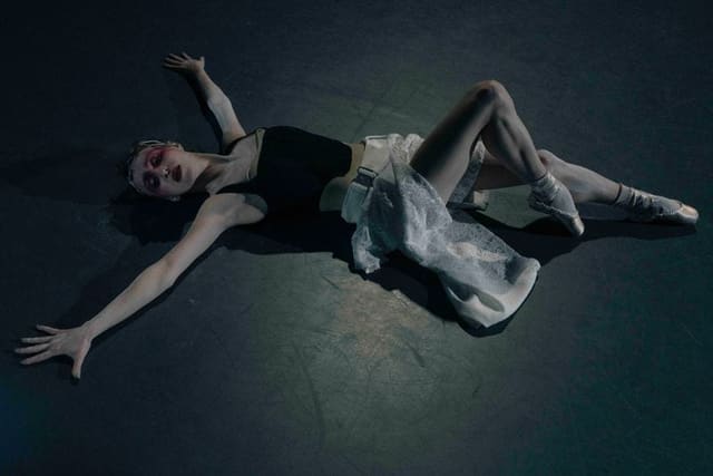 PORTRAIT OF A LADY – SKYLAR BRANDT — Grey Magazine
