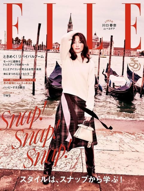 Elle Japan December 2024 Cover — Elle Japan