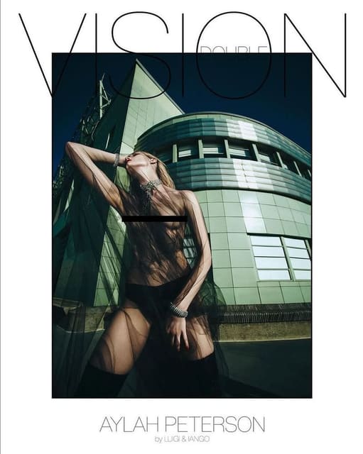 Double Vision Holiday 2024 Covers — Double Vision