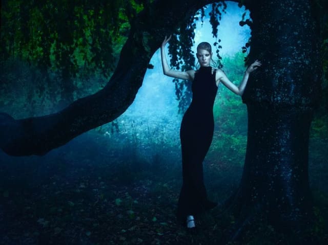 Into The Forest — Latest Magazine