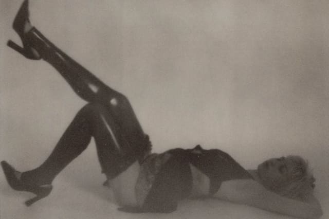 STELLA ROSE by Jason Renaud — Grey Magazine