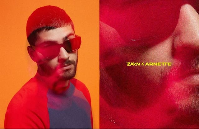 Zayn x Arnette Campaign