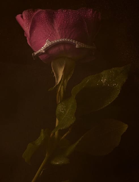 #DIOR48 by Elina Kechicheva — Dior