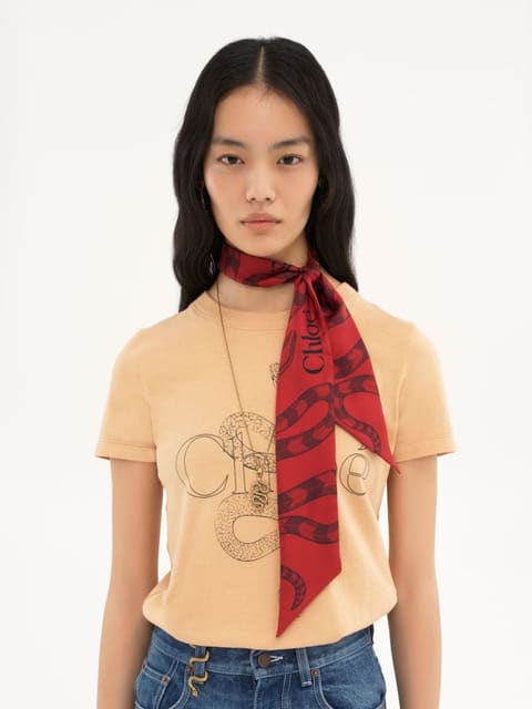 Chloé CNY2025 CATALOG — Chloé