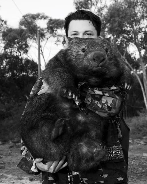 Toby Boorne Davidson, The Wombat Guy — More or Less Magazine