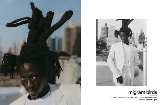 Migrant Birds — Schön Magazine