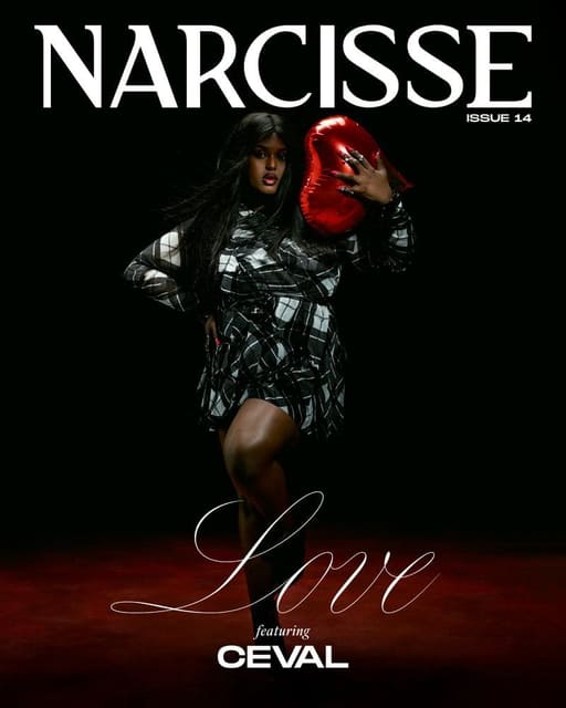 Narcisse issue 14 covers — Narcisse Magazine