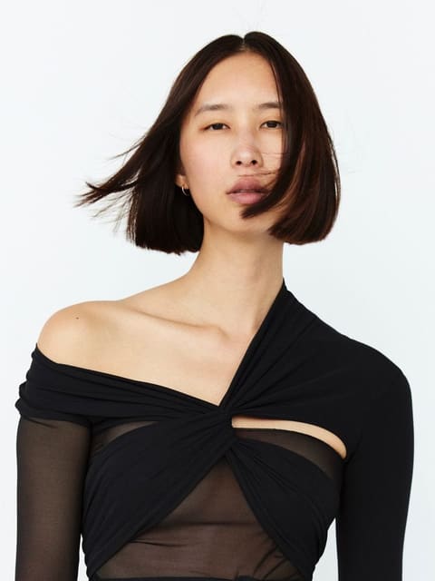 Anh Phoenix
