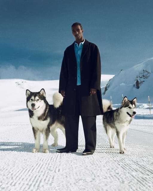 Howling through the frost by Judit Parer... — Bershka