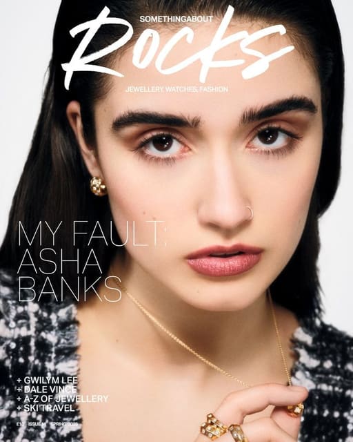 Something About Rocks January 2025 Cover... — Something About Rocks