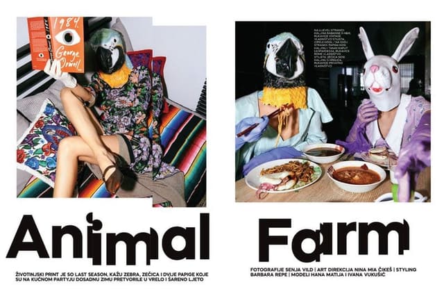 Animal Farm for Storybook Magazine