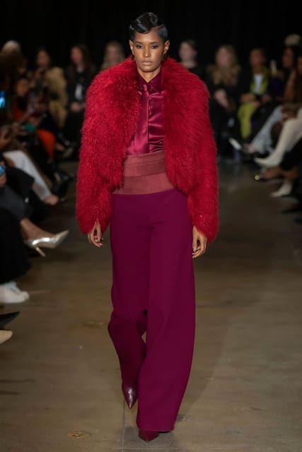 Sergio Hudson F/W 25 Show — Sergio Hudson