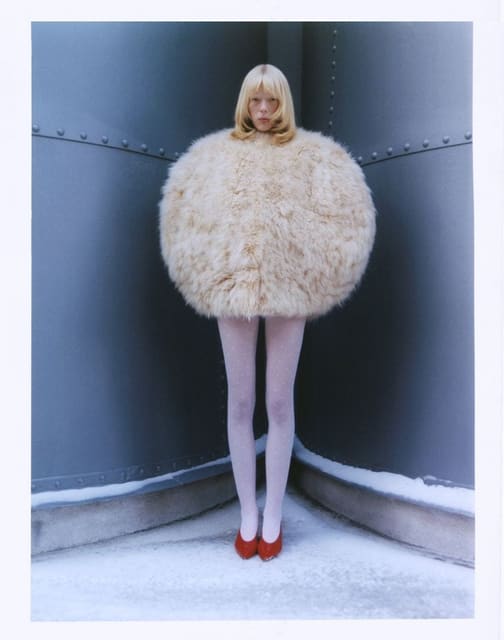 Signe Michaelsson Frames — The Greatest Magazine
