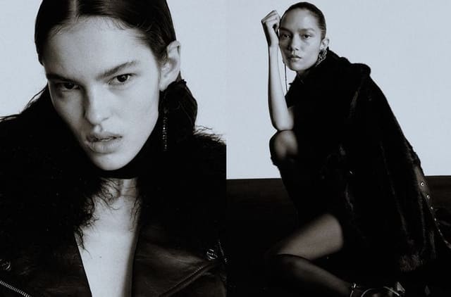 Fall 2024 — Blugirl