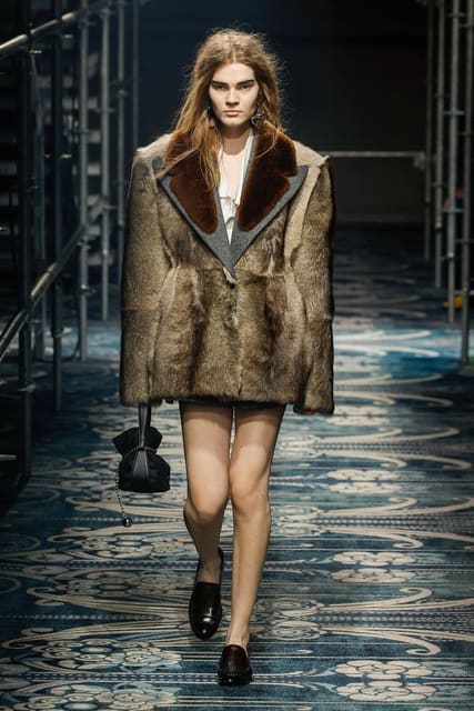 Prada F/W 25 Show — Prada