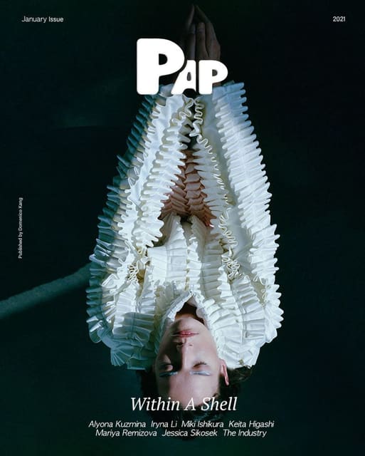 Pap Magazine January 2021 Cover — PAP Magazine