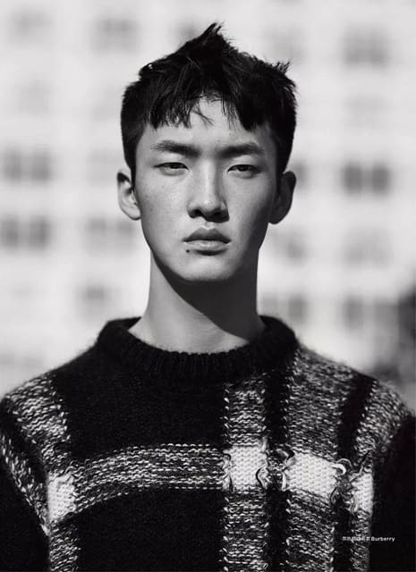 Wang Hong Yu