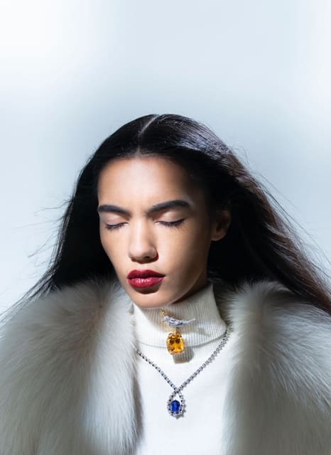 High Jewelry Special — Citizen K International