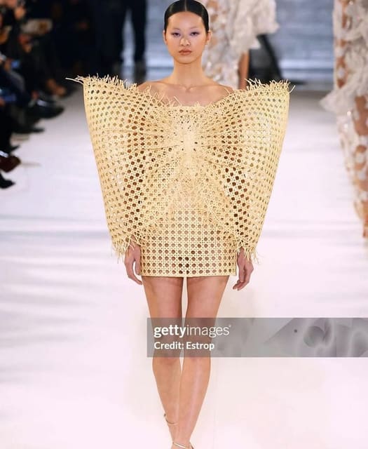 Juana Martin Haute Couture Spring 2024 S...