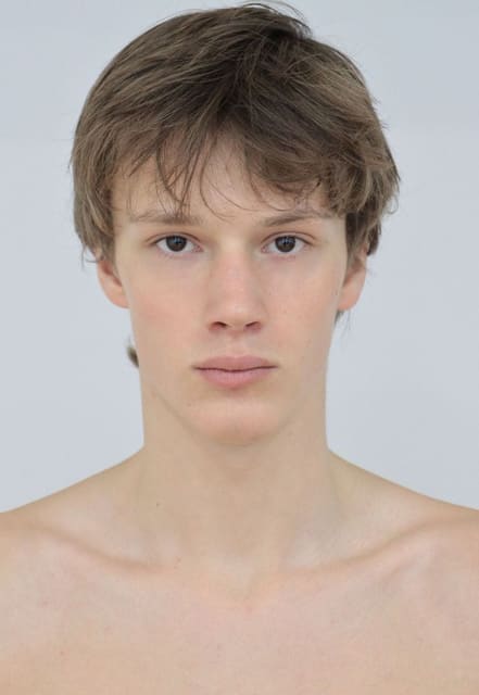 Louis Spaargaren