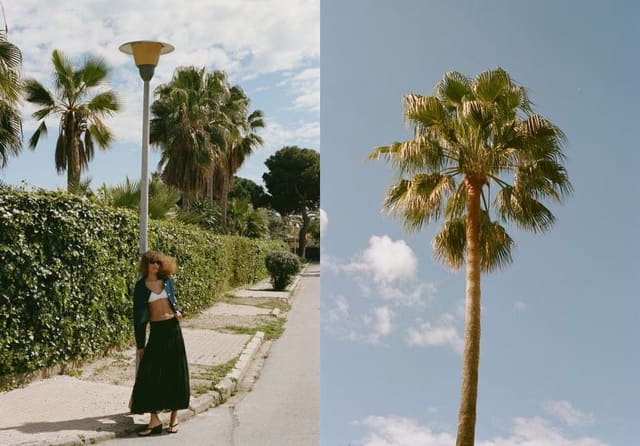 MANGO S/S 25 — Mango