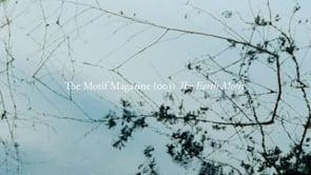 Marte Mei — Making with nature — The Motif Magazine
