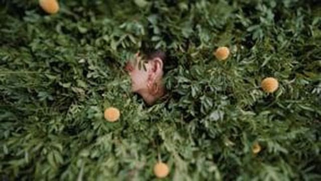Spring 2025 — Hermès