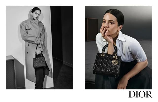 Dior Lady Dior Handbag 2024 Campaign — Dior