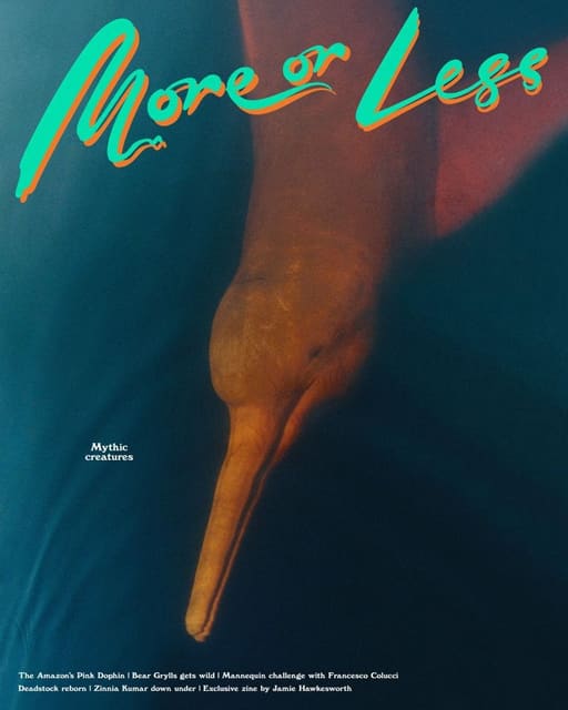 More or Less Magazine Issue 7 Covers — More or Less Magazine
