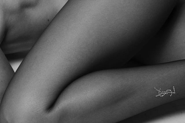 D-12 Summer 19 — Saint Laurent