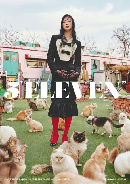 The Islands Issue 14 Covers — 5ELEVEN Magazine