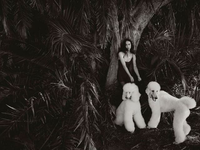 To have and to hold — Harper's Bazaar Australia