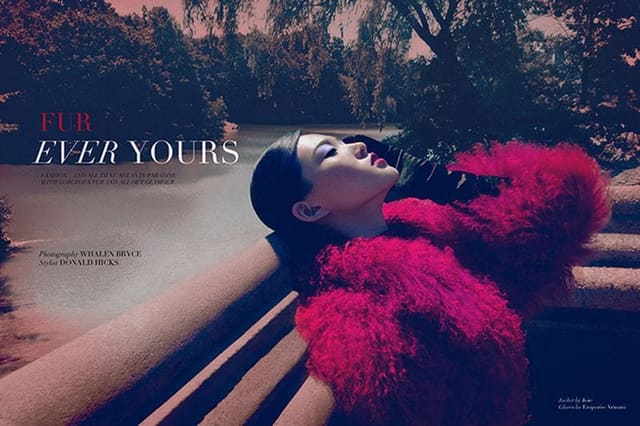 Fur Ever Yours — Vestal Magazine