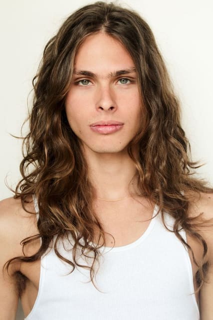 Dries van Steen