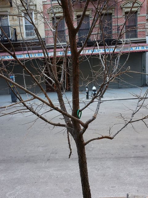New York City — SIDE-NOTE