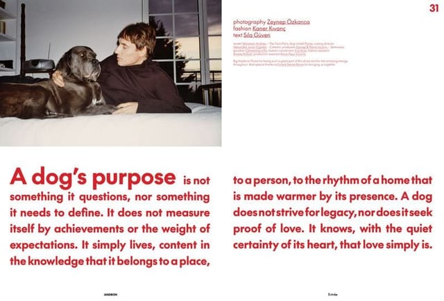 A DOG'S PURPOSE