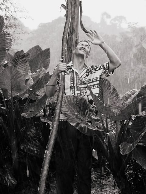 The Breath of Nyungwe — One&Only