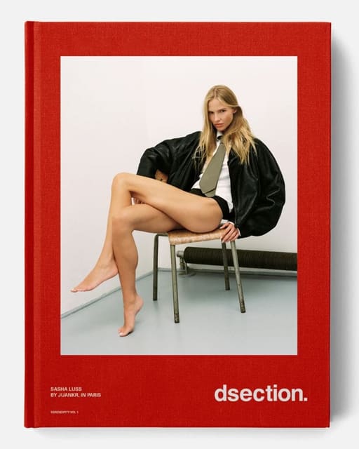 DSection SERENDIPITY VOL 1 Covers — DSECTION Magazine