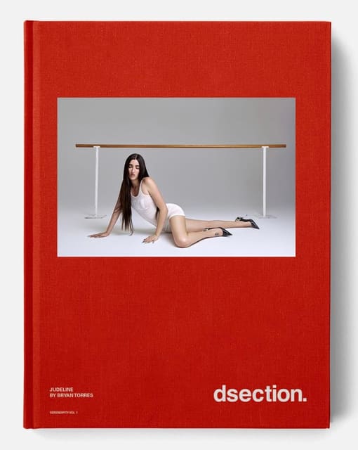 DSection SERENDIPITY VOL 1 Covers — DSECTION Magazine