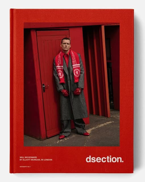 DSection SERENDIPITY VOL 1 Covers — DSECTION Magazine