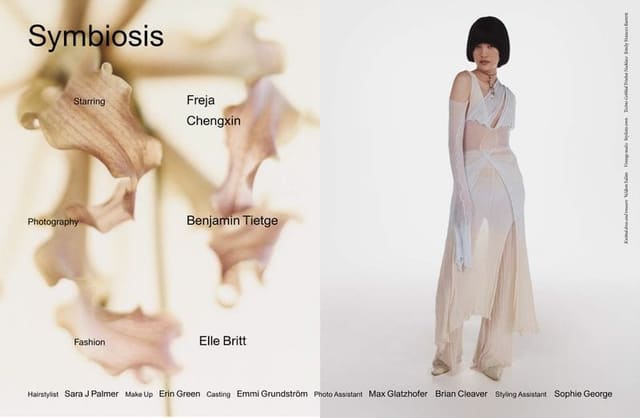Symbiosis — The Plant Magazine