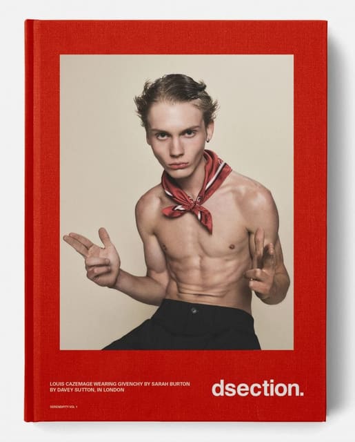 DSection SERENDIPITY VOL 1 Covers — DSECTION Magazine