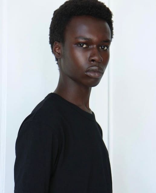 Mani Adjaye