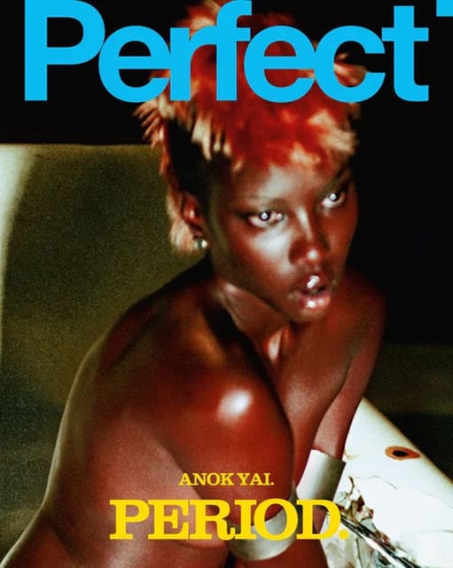 The Perfect Magazine Issue 9 2025 Covers — The Perfect Magazine