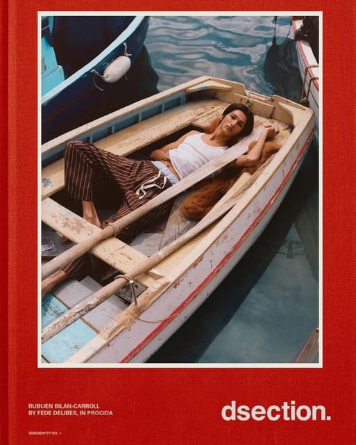 DSection SERENDIPITY VOL 1 Covers — DSECTION Magazine