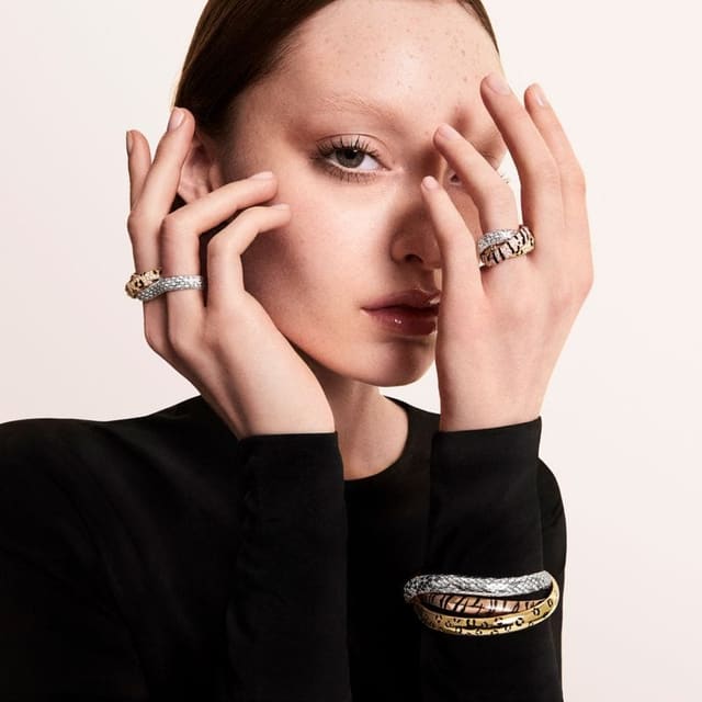 Cartier Fall 2025 — Cartier
