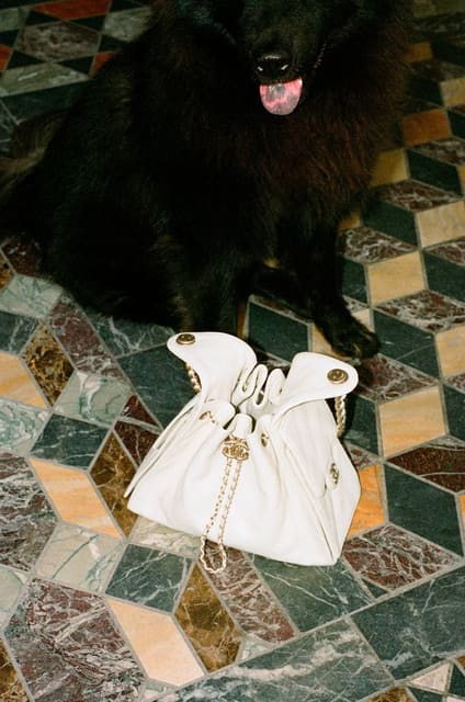 chanel — M Revista de Milenio
