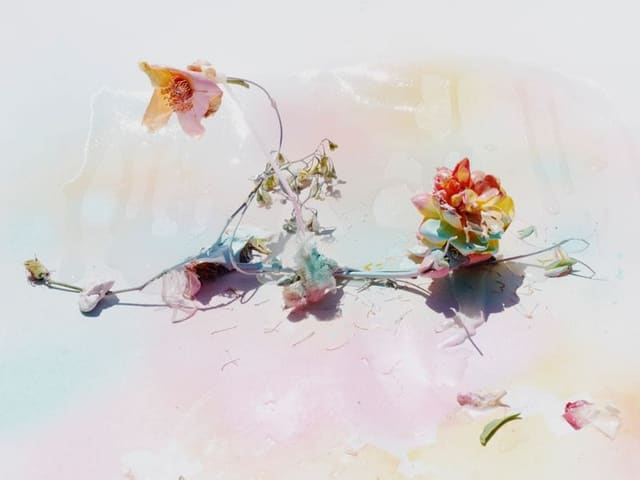 FLOWERS — Book